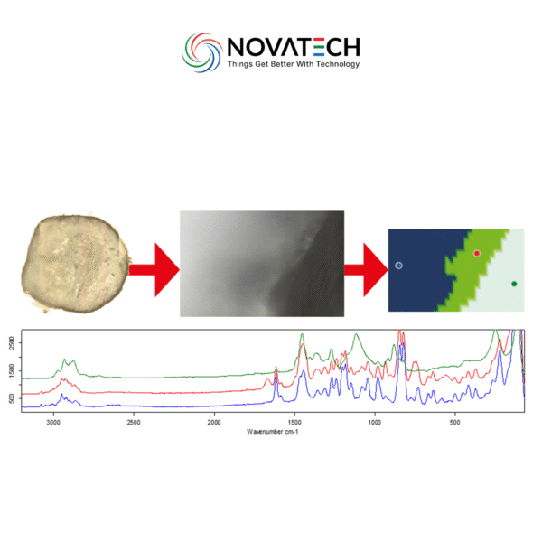 SENTERRA II Raman Microscope